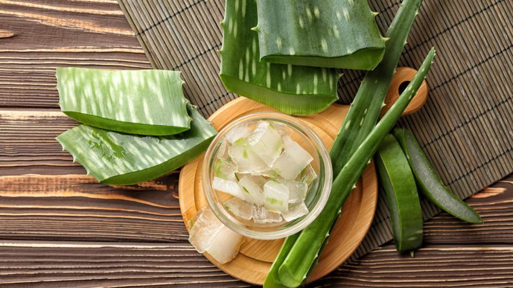 Apakah Gel Lidah Buaya Bisa Mengobati Sunburn? Fakta yang Perlu Diketahui