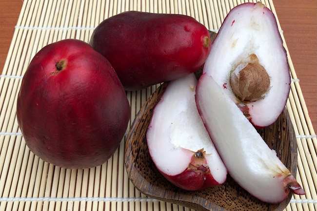 Jambu Bol Buah Segar dengan Manfaat Kesehatan Luar Biasa
