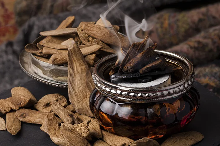 Kayu Gaharu: Khasiat, Nilai Jual, dan Tips Budidaya