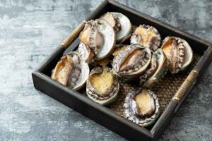 Kerang Abalone Kaya Nutrisi untuk Kesehatan
