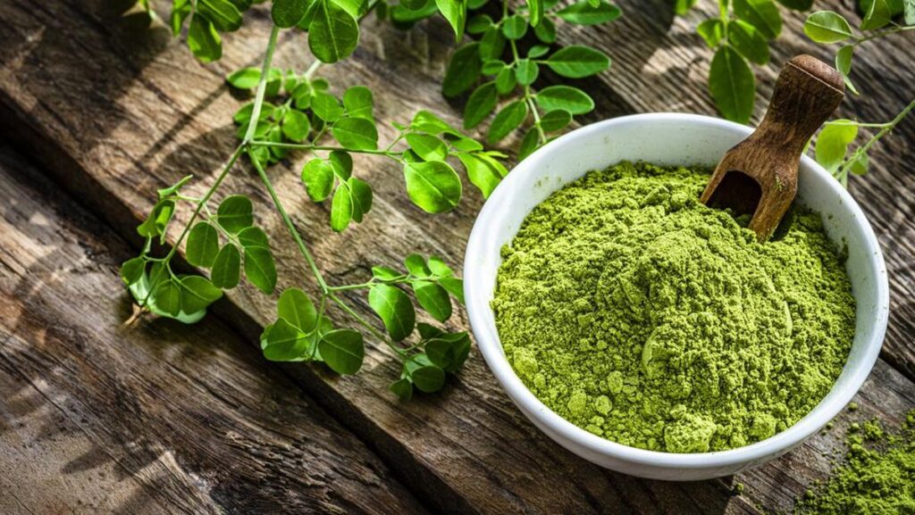 Khasiat Daun Kelor: Rahasia Alami untuk Tubuh Sehat