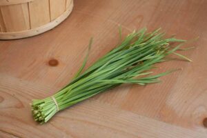 Bawang Kucai: Khasiat, Cara Menanam, dan Olahan Lezatnya