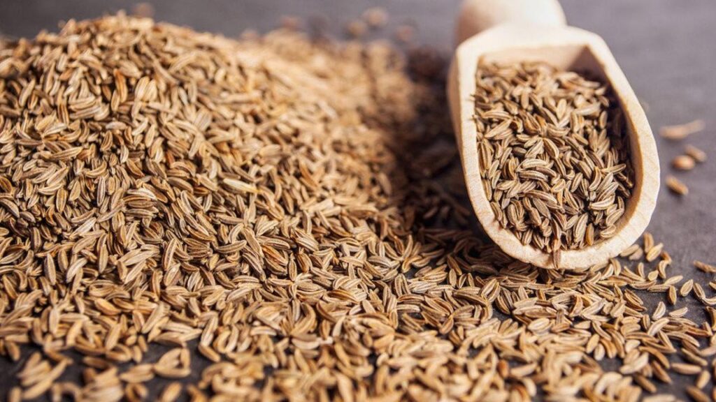 7 Manfaat Jinten yang Baik untuk Kesehatan Tubuh