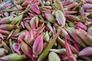 3 Manfaat Kecombrang yang Baik untuk Kesehatan