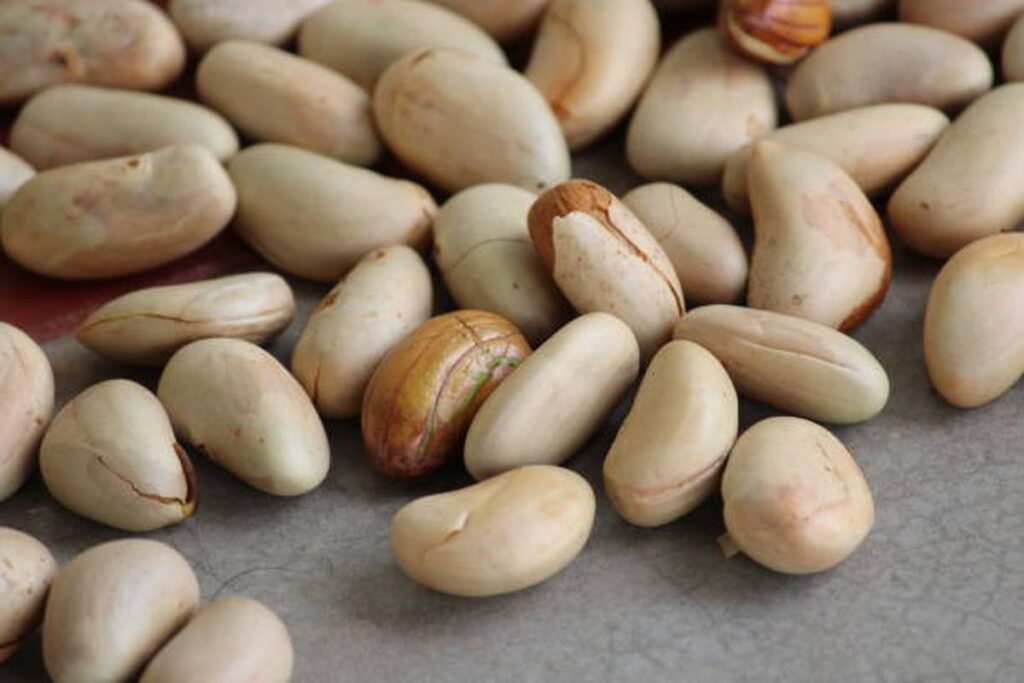 6 Manfaat Biji Nangka untuk Kesehatan Tubuh