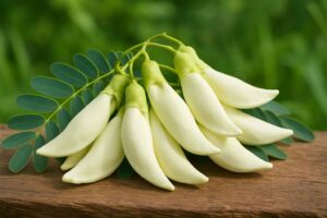 Bunga Turi: Ciri, Kegunaan, dan Panduan Menanam Mudah