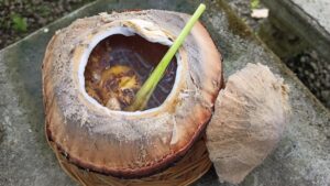 Kelapa Bakar: Enak, Sehat, Gampang Dibuat