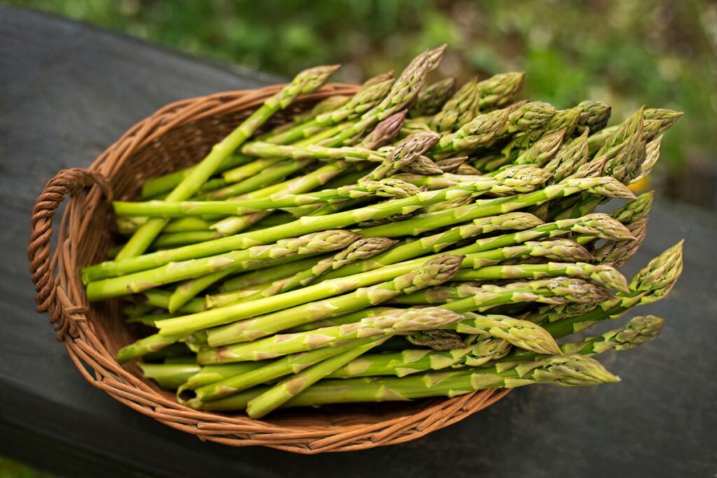 Kenali Manfaat Asparagus bagi Pengidap Diabetes