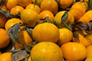 Jeruk Baby: Gizi Lengkap dan Manfaatnya