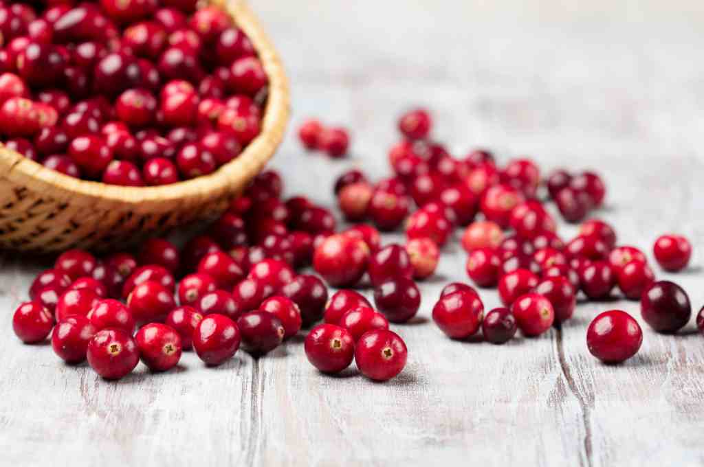 Manfaat Cranberry untuk Kesehatan dan Nutrisinya
